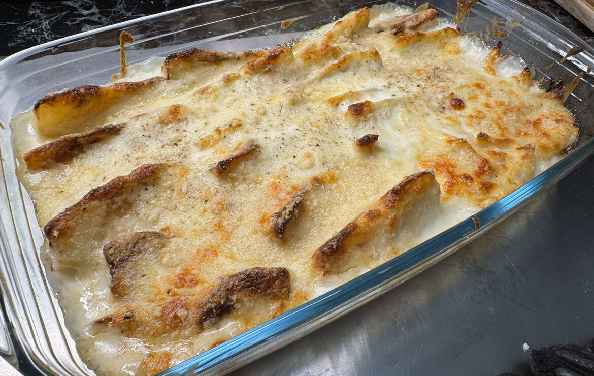Finocchi con besciamella gratinati al forno Finocchi con besciamella gratinati al forno